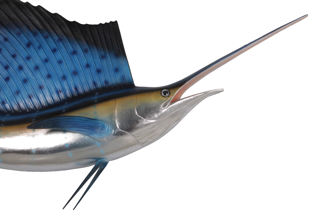 HAMMO /SAILFISH カーボン5'4 good size！