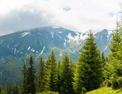 Snow Capped Mountain View Giclee