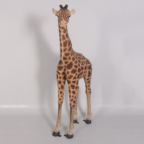 Life Size Baby Giraffe 6ft with Gel Coat