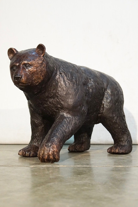 Bronze Bear Cub on the Move