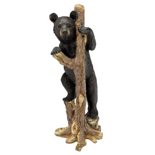 Tree Climbing Black Bear Cub
