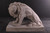 Symmetrical Pair of 39 Inch Entry Lions in Rough Stone Room Scene