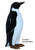 Black and White Furry Penguin Statue 31H