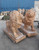 Pair Sun Glow Marble Lions