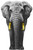 Large Elephant Acrylic Wall Decor