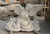 White Marble Winged Lady Table Base H29.5 Inches  Ge21498