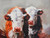 Pair of Cows Gallery Wrap Giclee 36x48
