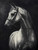 Stunning Black and White Horse Giclee
