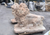 Pair Walking Sunglow Marble Lions 45 Inches Long