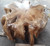 Teak Root Organic Coffee Table