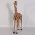 Life Size Baby Giraffe 6ft with Gel Coat