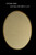 Arcadia Gold Oval Frame