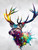 Burst Stag Giclee