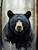 Drip Bear Giclee