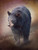 Bear Walking in Mist Giclee
