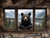 Black Bear Peeking through the Window Giclee