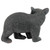 Curious Woodland Black Bear Cub