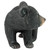 Curious Woodland Black Bear Cub
