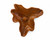 Large Teak Blossom Wall Decor