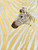 Zebra Stripes Gallery Wrap