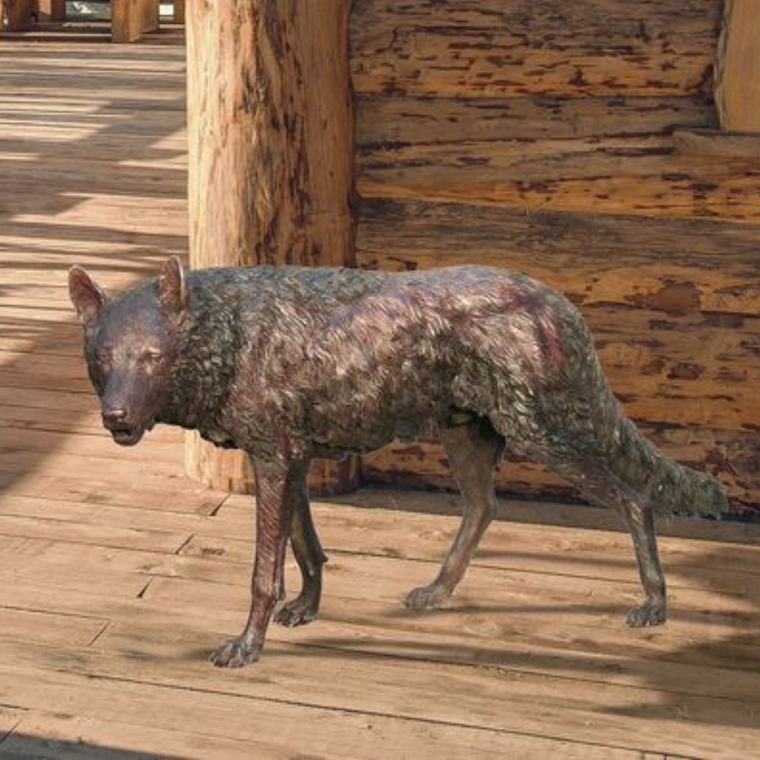 Bronze Wolf Standing 54 Inches Long
