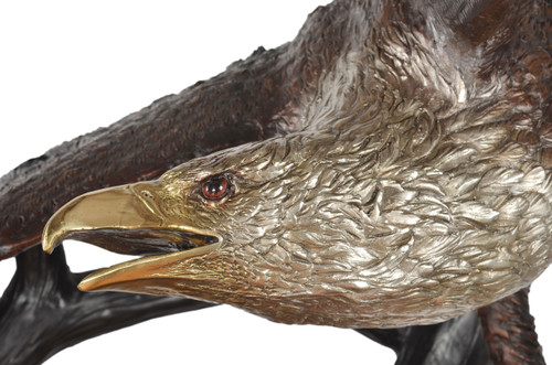 Spectacular Eagle on Tree 83 Inch Wide Close Up Image