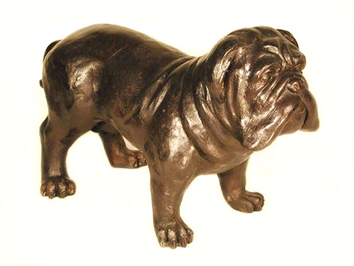 Standing Bull Dog