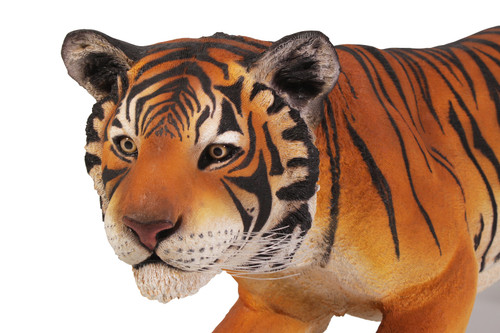 Bengal Tiger Life Like 90 Inch Long Close Up Image