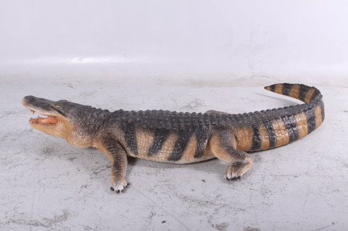 Lifesize American Alligator 94.75 Inch Long Room Scene