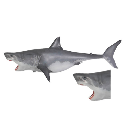 Great White Shark  Hanging