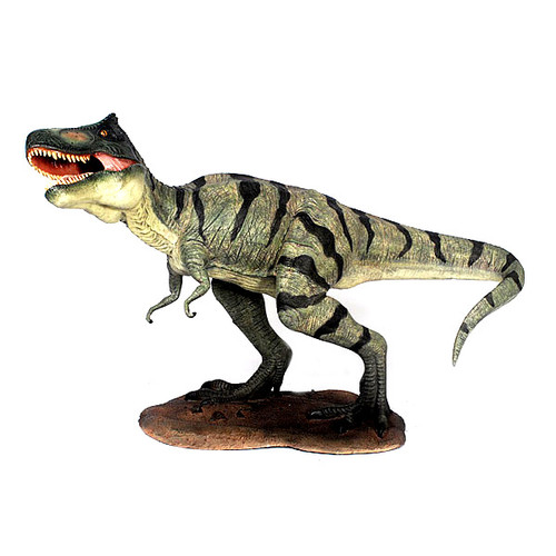 Petite Tyrannosaurus Rex