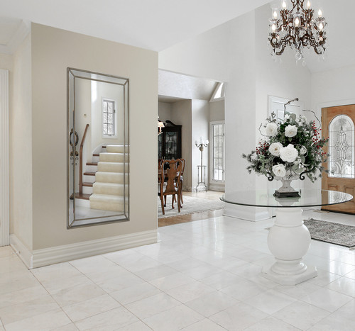 Brushed Spectrum Mirror 45X81MC Room Scene