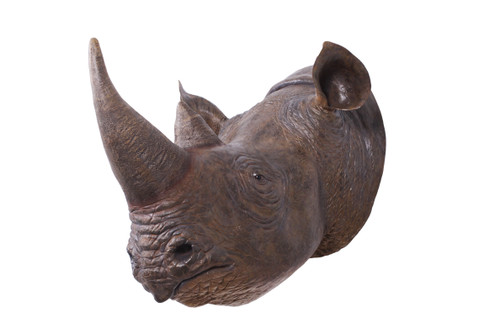 Rhinoceros Head Room Scene