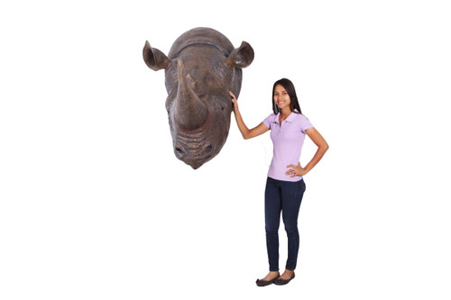 Rhinoceros Head Close Up Image