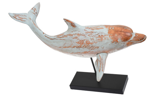 Swimming Dolphin on Stand Close Up Image