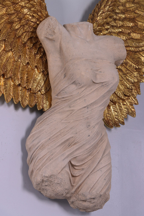 Azaz Angel Close Up Image