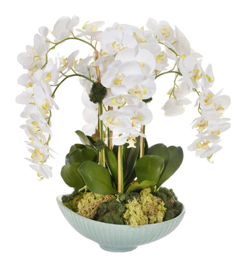 Orchid Arrangement #8 Close Up Image