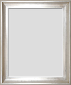 The Sterling Mirror 48X60 Silver with Champagne Wash