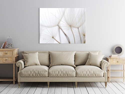 Flying Dandelions Room Scene