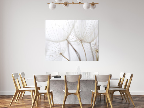 Flying Dandelions Close Up Image