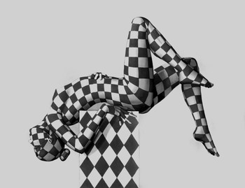 The Acrobat Gallery Wrap