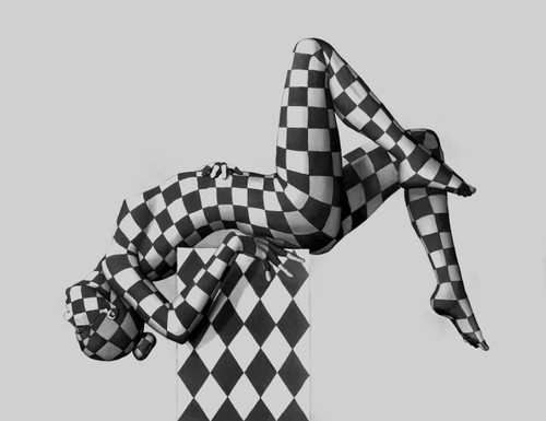 The Acrobat Gallery Wrap