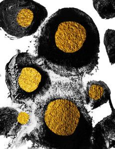 Black White and Gold