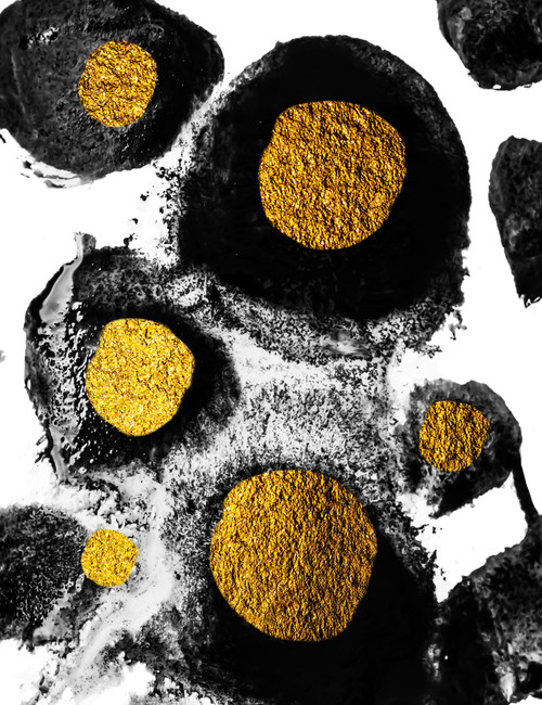 Black White and Gold