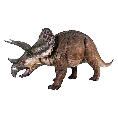 Triceratops Large
