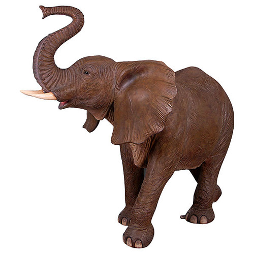 African Elephant