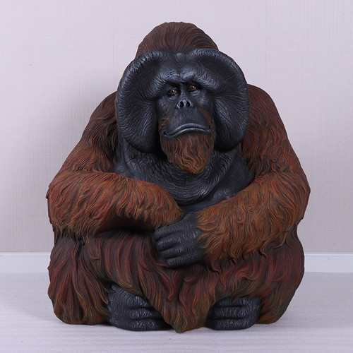 Sitting Orangutan Close Up Image