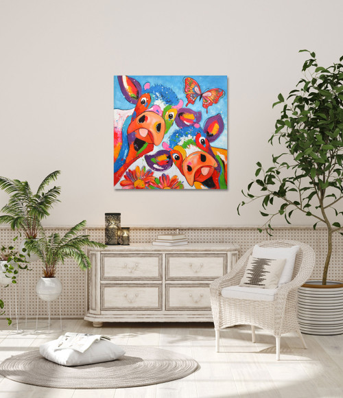 Color Cows Close Up Image