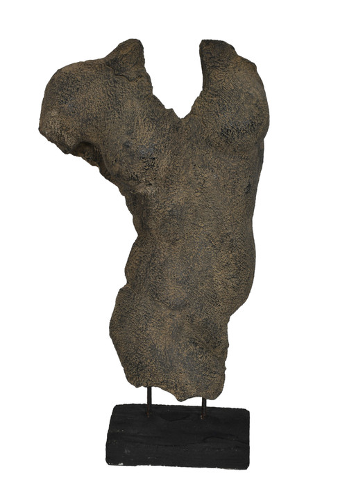 Agora Femail Torso on Stand