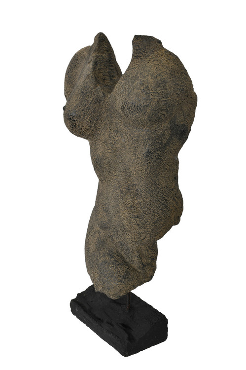 Agora Femail Torso on Stand Close Up Image